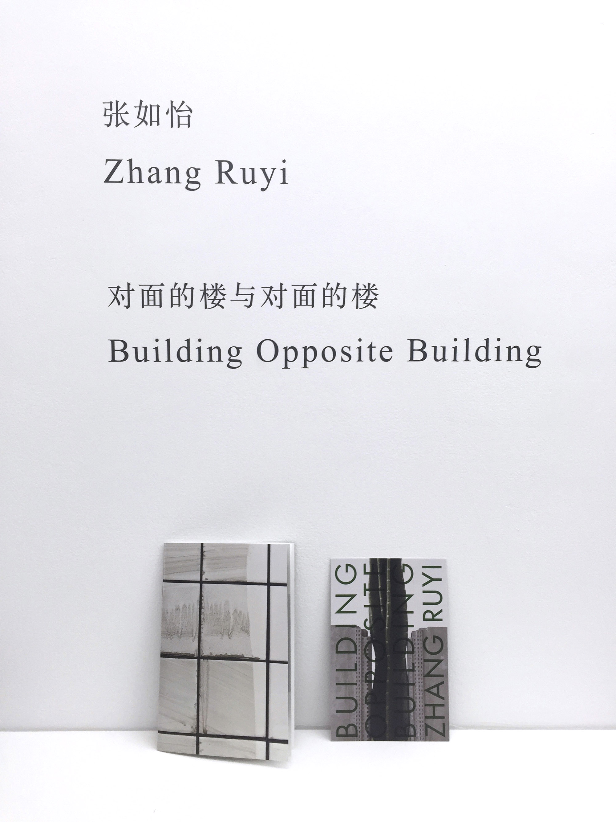 Building Opposite Building, Zhang Ruyi 张如怡, 2016