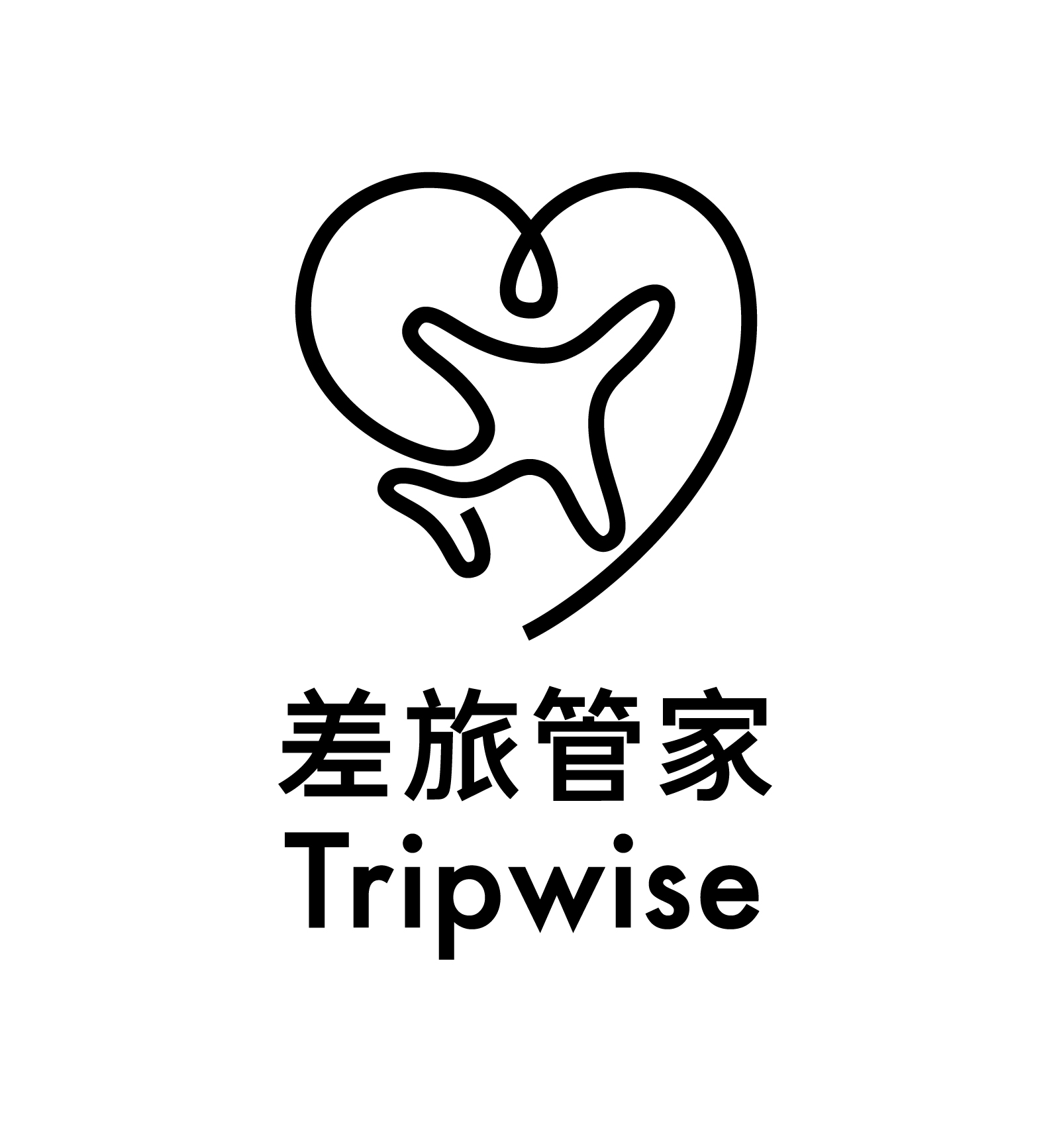 TripWise, 2020